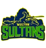 Multan Sultans