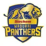 Siechem Madurai Panthers