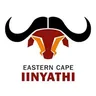 Eastern Cape Linyathi (Border)