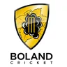 Rocks (Boland)